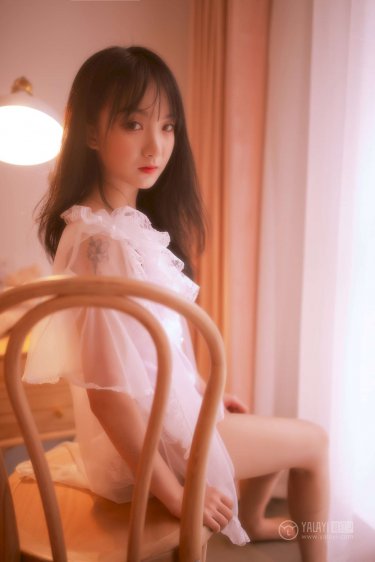 言情小说有肉