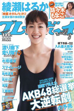 军检察官多伯曼犬